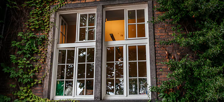 Energy Efficient Wood Windows in Milpitas, CA