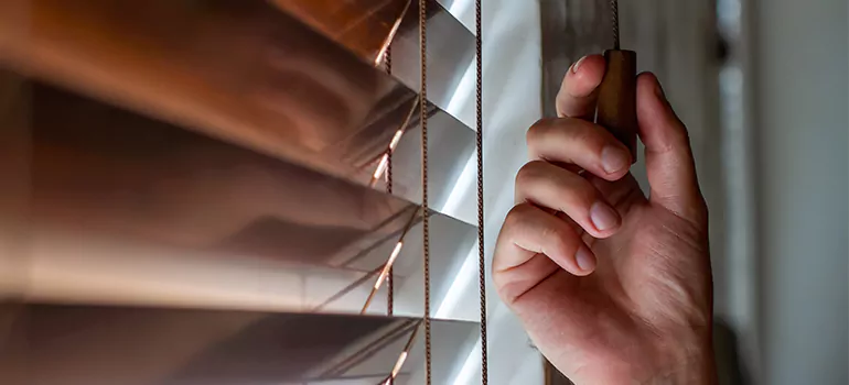 Double Roller Blinds in Milpitas, CA