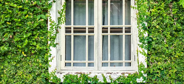 Garden Window Repair Near Me in Milpitas, CA