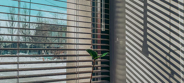 Commercial Window Blinds in Milpitas, CA
