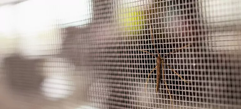 Repair Mosquito Mesh For Windows in Milpitas, CA