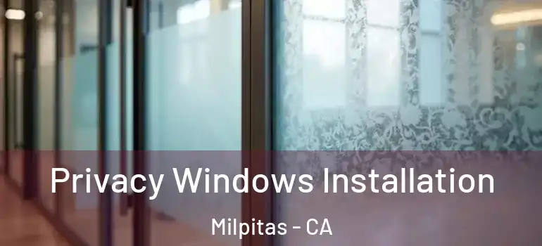  Privacy Windows Installation Milpitas - CA