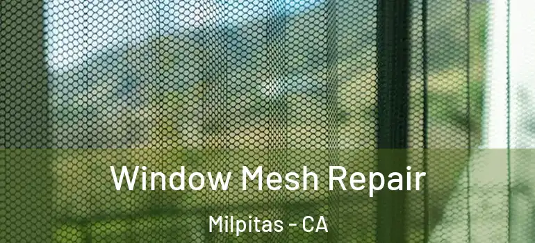  Window Mesh Repair Milpitas - CA