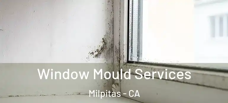  Window Mould Services Milpitas - CA