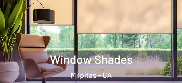  Window Shades Milpitas - CA