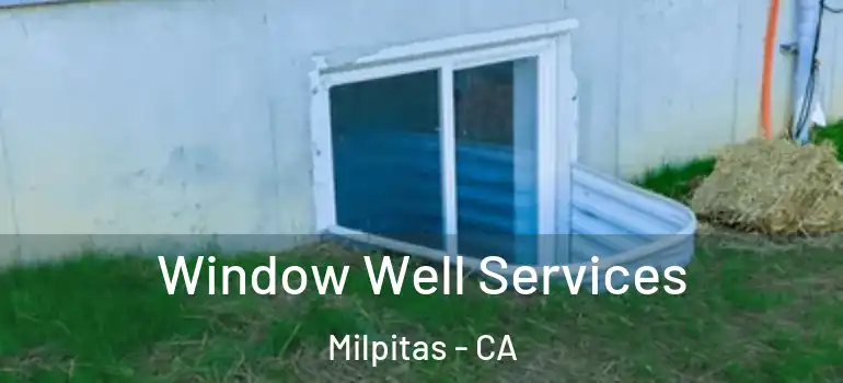  Window Well Services Milpitas - CA